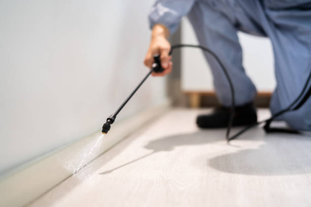 Licensed Fumigation Services service in Albertson, NY - Nex Pest Control