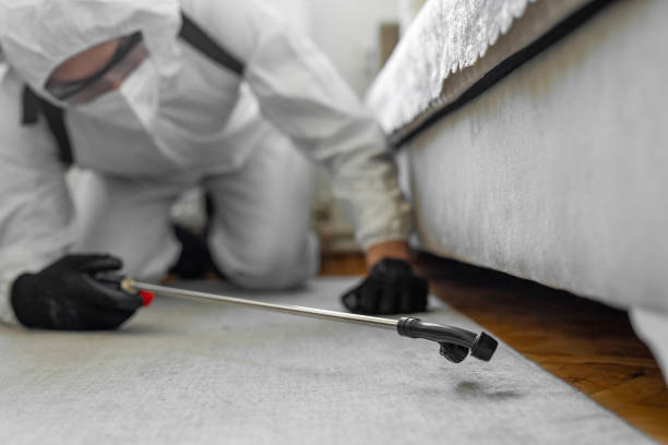 Professional Fumigation Services technician working in Albertson, NY